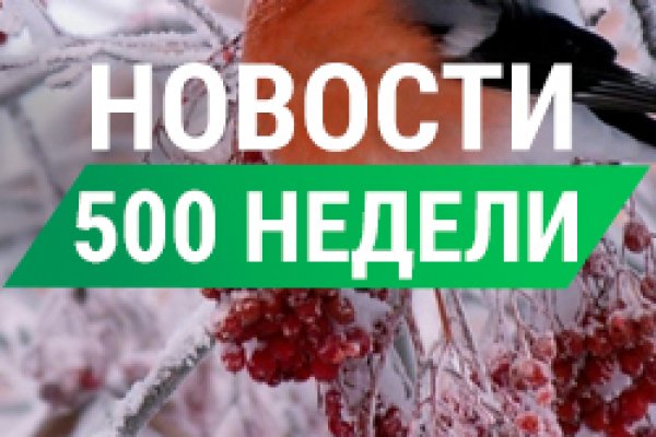 Только через тор кракен